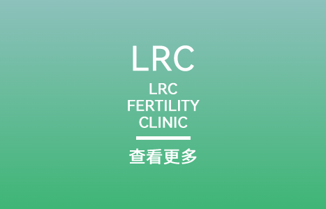 查看更多