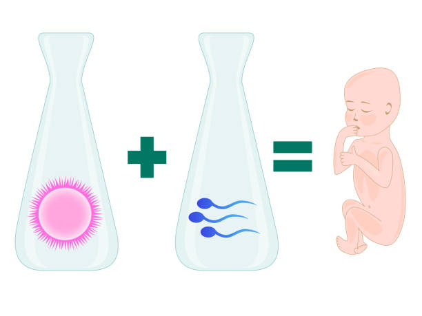 2025年泰国美名LRC生殖中心的试管婴儿价格详情