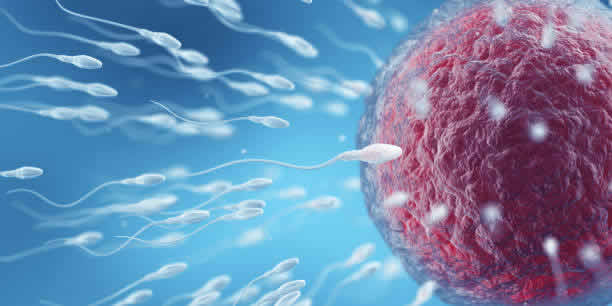 2025年泰国ibaby试管婴儿价格详情