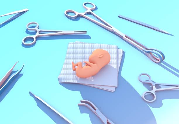 2025年东方泰国试管婴儿的价格构成