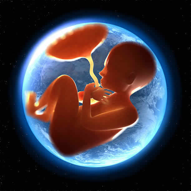 2025年泰国试管婴儿医院费用明细查询指南