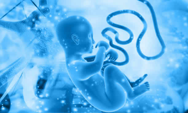 2025年泰国试管婴儿价格表图片大揭秘