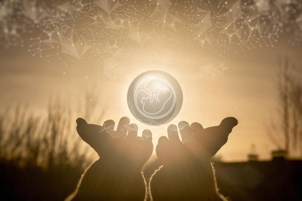 2025年泰国试管婴儿价格，LRC生殖中心值得举荐！