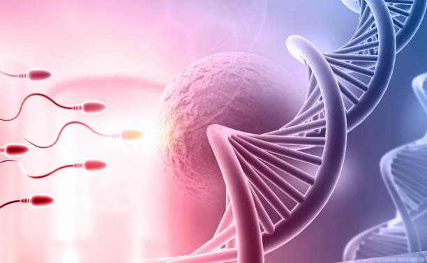 2025年泰国HIV试管婴儿价格大起底