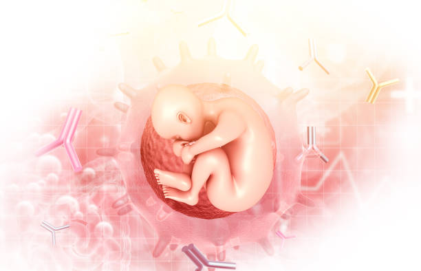 2025年泰国LRC生殖中心试管婴儿价格，你关心的都在这