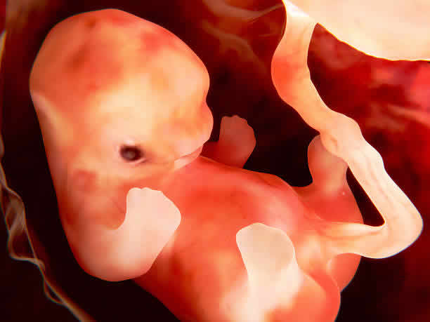 2025年HIV于泰国做试管婴儿所需价格一览